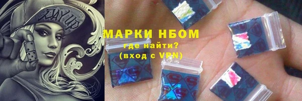 сатива Новокубанск