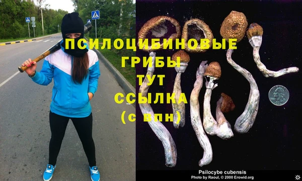 гашиш Нязепетровск