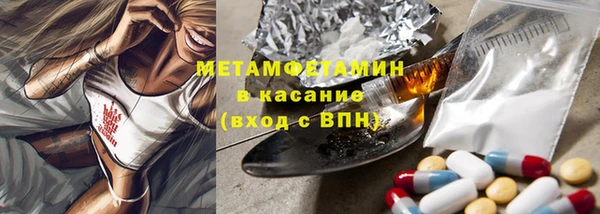 сатива Новокубанск