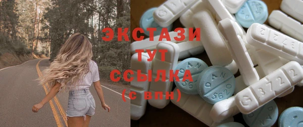 ECSTASY Няндома