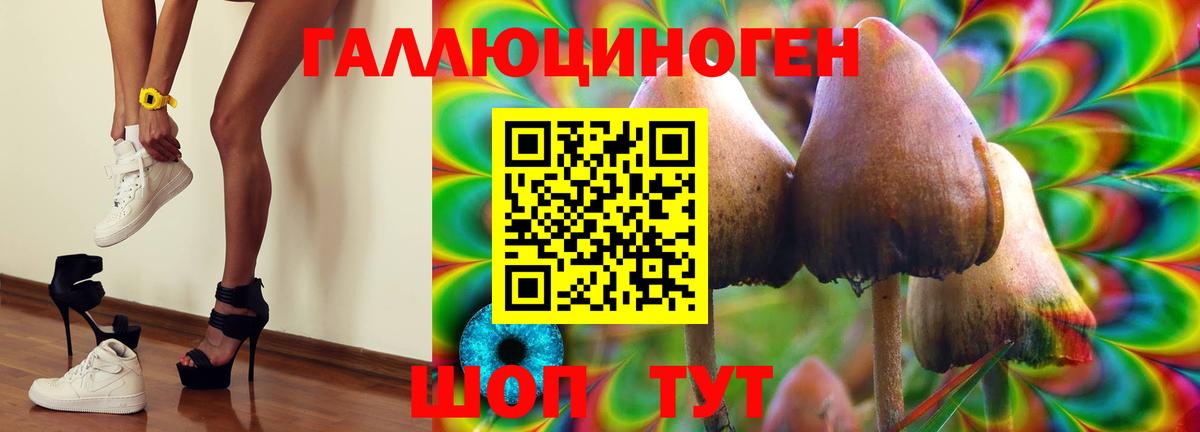 Новодвинск  Псилоцибиновые грибы Psilocybine cubensis  Галлюциногенные грибы Magic Shrooms  Вход с VPN 